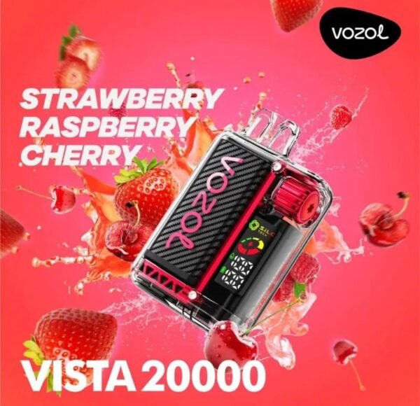 VOZOL Bista 20000 - Image 2