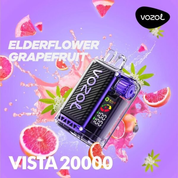 VOZOL Bista 20000 - Image 10
